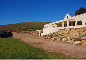 Music from the Mvies at Raka Wine Estate